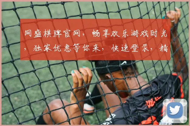 网盛棋牌官网，畅享欢乐游戏时光，独家优惠等你来，快速登录，精彩不断